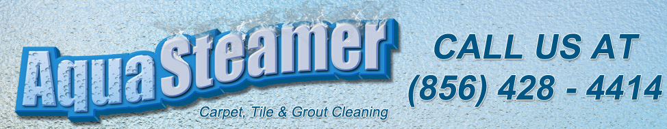 AquaSteamer Logo