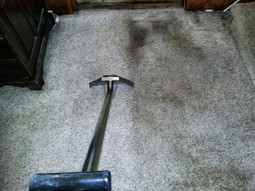AquaSteamer-LLC-016