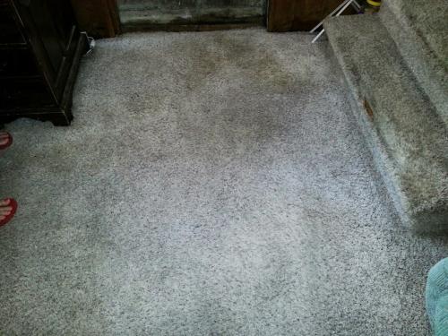 AquaSteamer-LLC-018